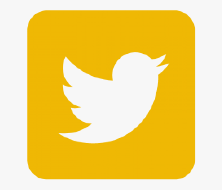 its-no-longer-just-celebrities-whose-tweets-make-the-news