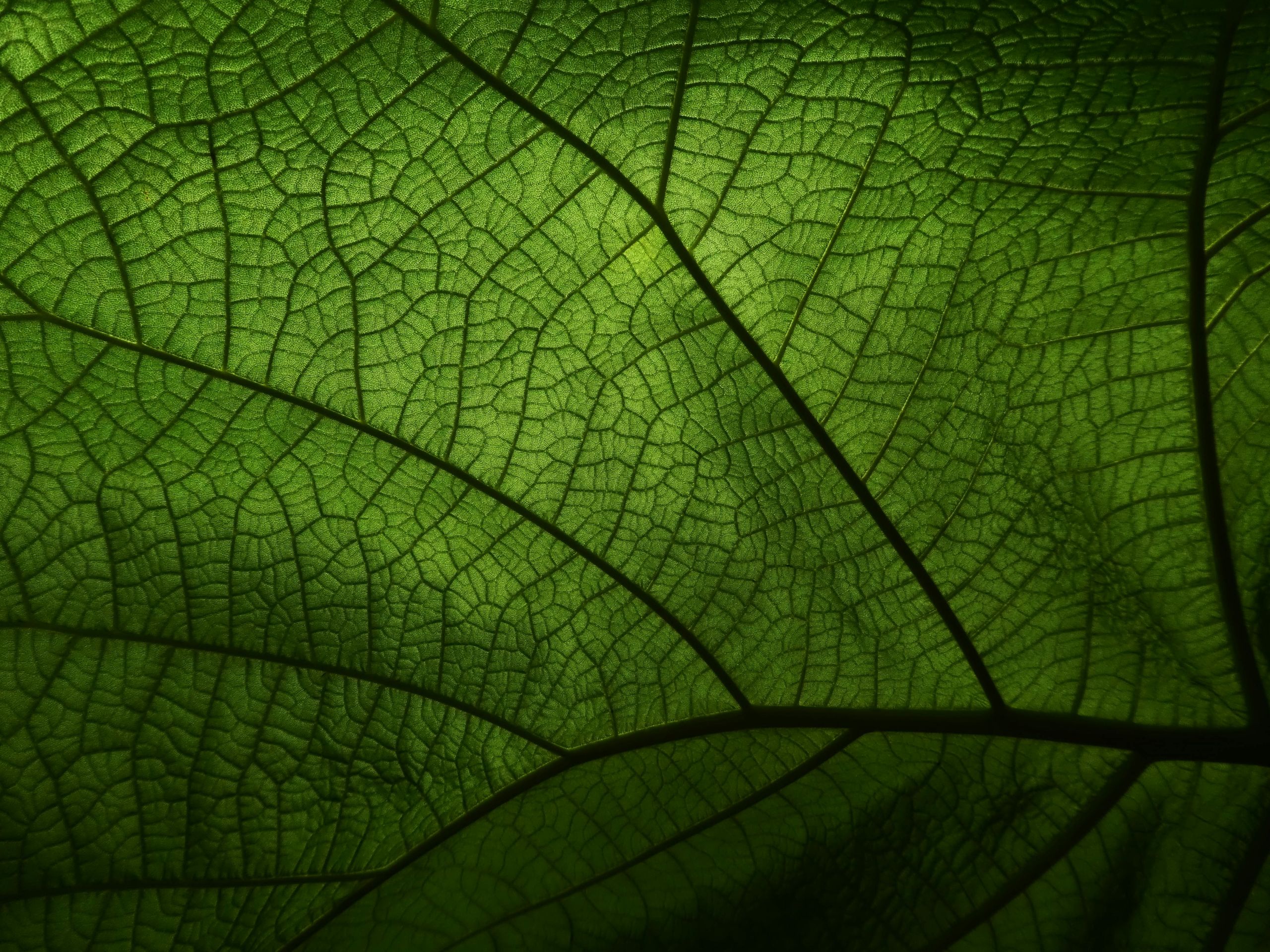cleantech-pexels-clickerhappy-2933378