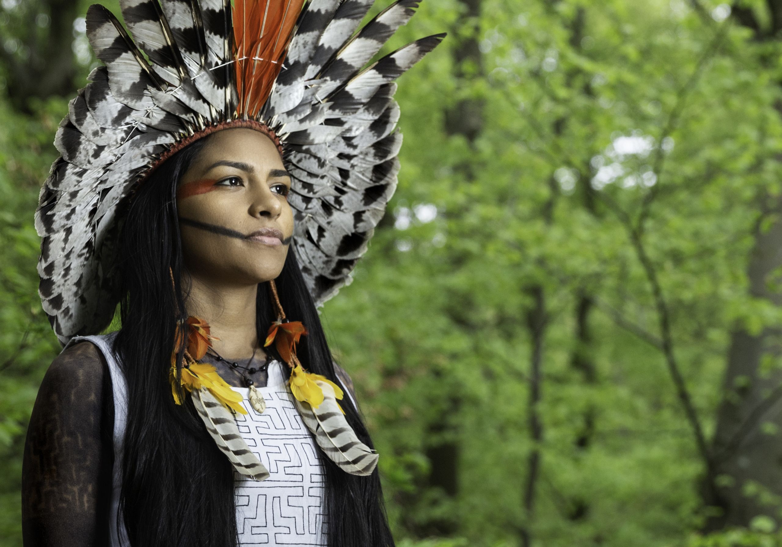 women-environmental-defenders-from-the-amazon-and-africa-draw-parallels-from-the-frontlines-of-the-climate-crisis-at-cop30