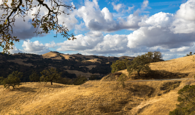 cerrado-e-restauracao-guardioes-das-sementes-inspiram-solucoes-climaticas-na-casa-da-sociobioeconomia