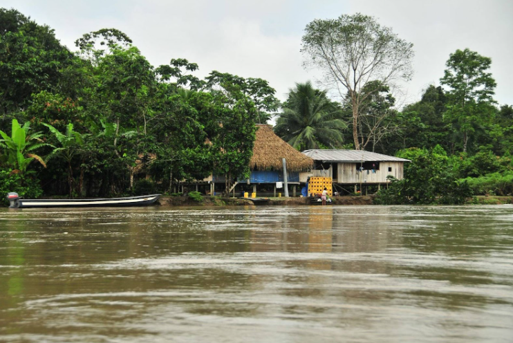 amazonia-sofre-escalada-do-crime-organizado-e-da-devastacao-territorial-ligada-a-cocaina