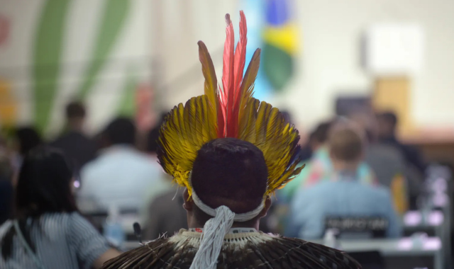 despite-record-turnout-only-14-of-indigenous-brazilians-are-expected-to-access-decision-making-spaces-at-cop30