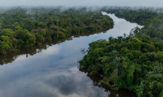 florestas-alagadas-da-amazonia-comecam-a-sofrer-com-grandes-incendios-mostra-estudo