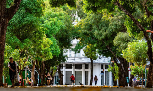 como-a-arborizacao-por-um-prefeito-do-seculo-19-pode-inspirar-agenda-de-adaptacao-na-cop30