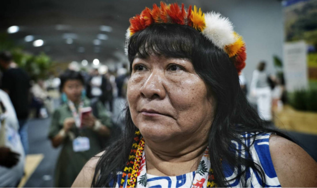 president-of-brazils-national-foundation-for-indigenous-peoples-expects-land-demarcations-at-cop30-indigenous-lands-sequester-carbon