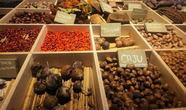 casa-da-floresta-where-the-amazon-teaches-welcomes-and-points-the-way-to-the-future