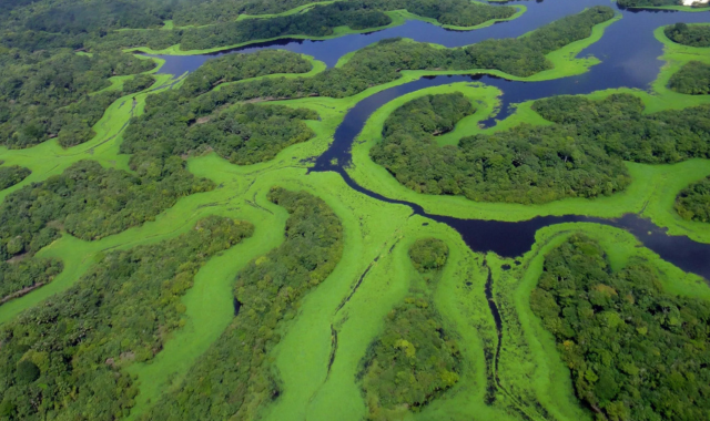 at-cop30-researchers-call-for-expansion-of-brazils-zero-deforestation-target-by-2030