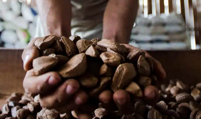 at-the-peoples-summit-food-is-political