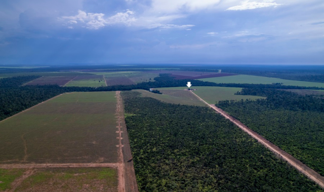 cop30-biofuel-industries-advocate-changes-to-the-soy-moratorium-a-pact-against-amazon-deforestation