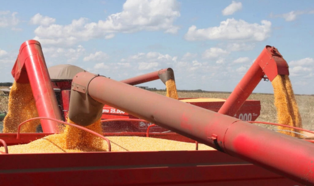 agro-conseguiu-r-25-bilhoes-do-fundo-clima-para-financiar-empresas-com-infracoes-ambientais