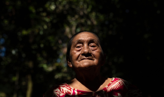 mineradoras-devoram-a-amazonia-enquanto-a-cop30-promete-salvar