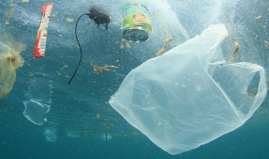 cop30-focuses-on-the-oceans-but-forgets-their-main-pollutant-plastic