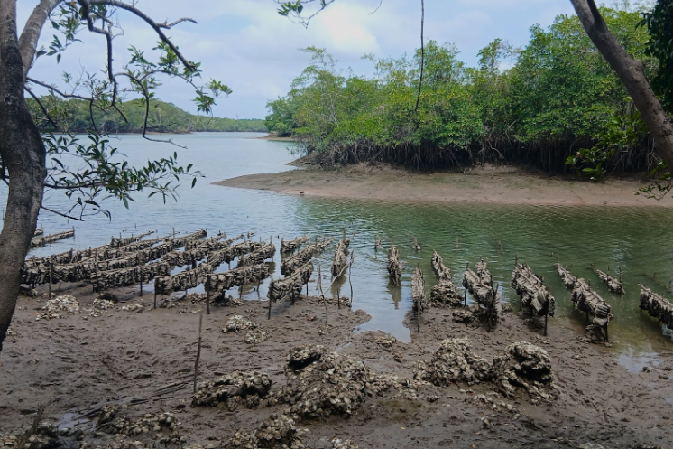 traditional-wisdom-and-technology-help-extractivists-confront-the-climate-crisis-in-the-state-hosting-the-cop30