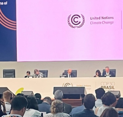 Politica desinformacion