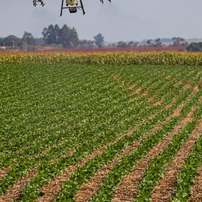 agribusiness document for COP30