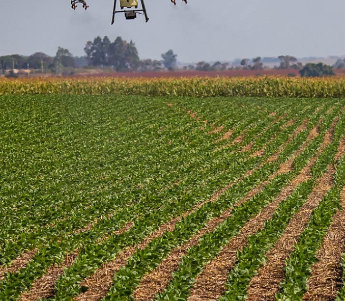 brazilian-agribusiness-document-for-cop30-ignores-human-health-and-deforestation