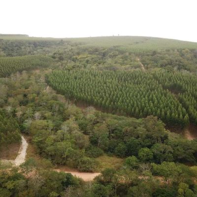 f4d99a8b9cc32a0b1559c90edf6e7fd1