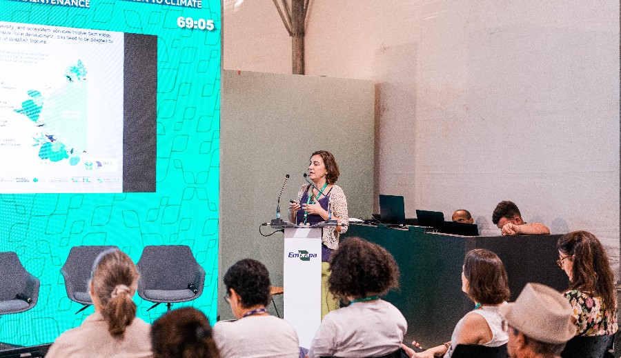 researchers-warn-of-urgent-action-needed-to-halt-deforestation-and-reinforce-restoration-in-the-amazon